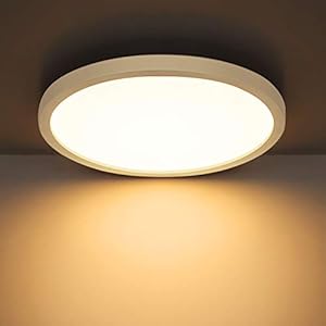 Combuh Plafondlamp LED 24W 2160LM Ultradun Plafond Licht voor Kinderkamers, Badkamers, Keukens, Balkons, Gangen Warm Wit…