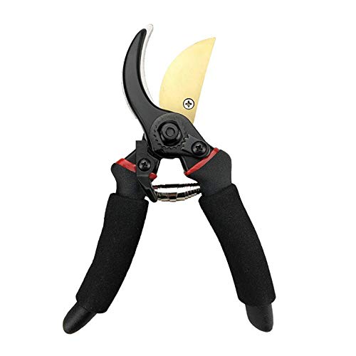 TEOFFECT 8" Professional Titanium Bypass Garden Shears Scissors, Hand Pruners, Garden Clippers, Tree Trimmer, Garden Scissors, Pruning Shears, Yard Hand Clippers
