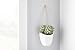 Modern Ceramic Hanging Planters, Succulent Plant Pots, Set of 3