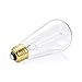 Dimmable Vintage 60 Watt Edison Light Bulb, Amber Warm Glow, Clear Glass Squirrel Cage Filament Light Bulb, E26 Medium Base, Pack of 4