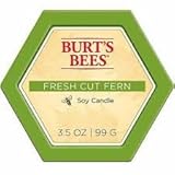 Burt's Bees Fresh Cut Fern Soy Candle, 3.5 oz