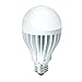 KOBI ELECTRIC K2L3 20-watt (100-Watt) A21 LED 5000K COOL White Light Bulb, Dimmable