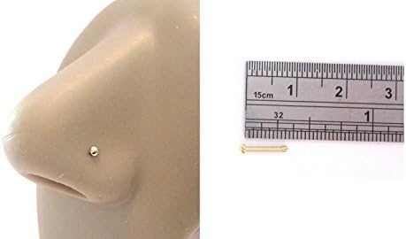 Gold Dome Sits Flat Nose Bone Straight Pin with Ball End Nose Stud 18 gauge 18g