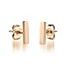 Women Earrings Rose Gold Plated Vertical Bar Stud Earrings For Women Fashion Jewelry
