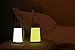 Rechargeable Battery Powered Reading Book Light for Bed, LED Dimmable Adjustable Desk Table Lamp USB Charging Port for Kids Study Bedroom Bedside Nightstand Headboard Lantern, Nursery Night Lamp