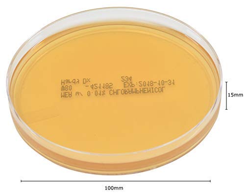 Malt Extract Agar with 0.01 Percent Chloramphenicol, for The Cultivation of Fungi, Inhibits Bacteria, Deep Fill, 15x100mm Plate, Order by The Package of 10, by Hardy Diagnostics