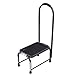 Giantex Step Stool with Handle, Medical Step Stool w/Handle and Non Skid Rubber Platform, 330 Lbs Load Capacity Heavy Duty Safety Step for Old People, Elderly Adults Black