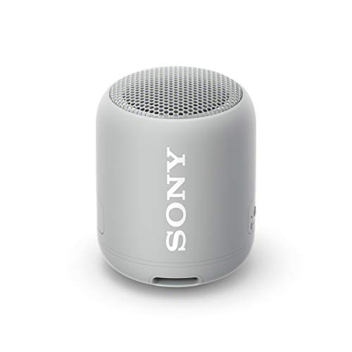 Sony SRS-XB12 Enceinte Portable Bluetooth Extra Bass Waterproof – Gris