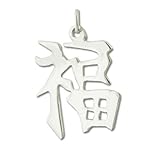 Jewelry Adviser Chinese Kanji Symbols Sterling