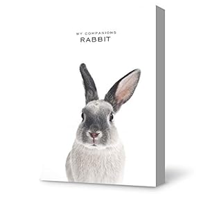 Canvas Wall Art Cute Grey Rabbit Canvas Painting Wall Poster Decor for Living Room Framed Home Decorations - 12x18 inches