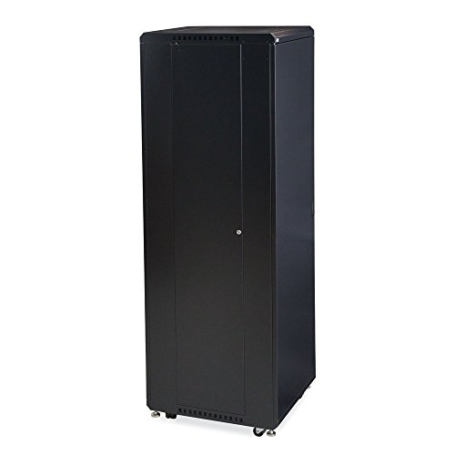 42U LINIER Server Cabinet - Solid/Solid Doors - 24" Depth