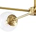 Light Society Grammercy 5-Light Chandelier Pendant, Brushed Brass with Clear Glass Globes, Classic Mid Century Modern Lighting Fixture (LS-C228-BRS-CLR)