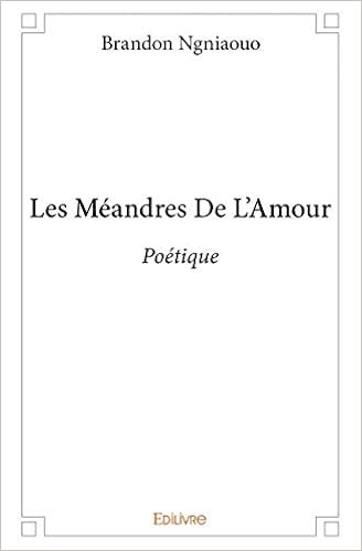 Amazonfr Les Meandres De Lamour Ngniaouo Brandon Livres - 
