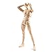 Deal Body-Kun - Models for Artists (Wood Color, Male)