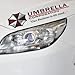 2pcs Umbrella Corporation Sticker Decal Aufkleber 35x10cm Eybrow Racoon Resident Evil JDM Car Pick Up Ford