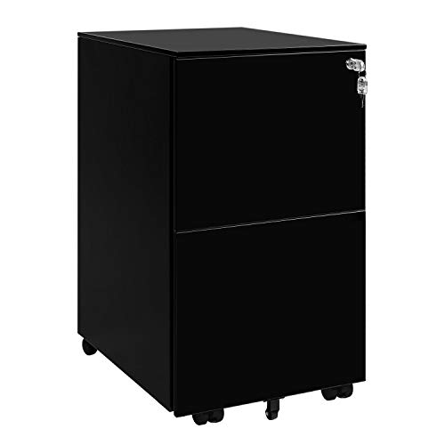 DEVAISE Locking File Cabinet, 2 Drawer Rolling Metal Filing Cabinet, Fully Assembled Except Wheels, Black