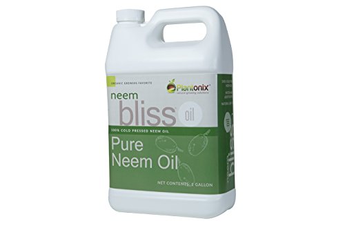 Organic Neem Bliss 100% Pure Cold Pressed Neem Seed Oil (1 Gallon) OMRI Listed for Organic Use
