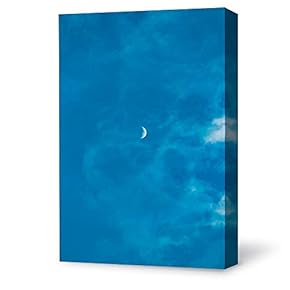 Canvas Wall Art Bright Moon Shining...