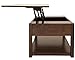 Signature Design by Ashley Marion Traditional Square Lift Top Coffee Table with 1 Fixed Floor Shelf, Dark Brown