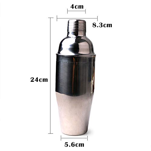 Delidge Cocktail-Shaker aus Edelstahl in Lebensmittelqualität, 750 ml, Martini-Shaker und Sieb für große Getränke… – Bild 4