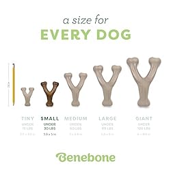 Benebone Wishbone Durable Dog Chew Toy for