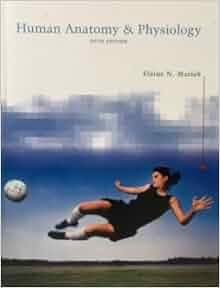 Human Anatomy Amp Physiology 5th Edition 2001 Text Only