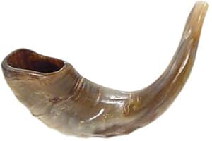 Shofar Kosher Ram Horn 12" Hand Made In ISRAEL . Great For Rosh Hashana Yom Kippur Yamim Noraim Bar & Bat Mitzvah Wedding Jew