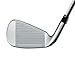 TaylorMade Golf- RBladez 2.0 Yellow Irons Regular Flex 4-PW