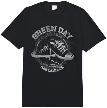 Amazon.com: Green Day American Idiot Comfort Colors Adult