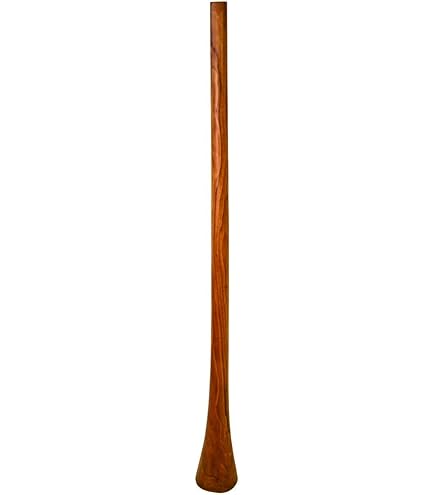 Amazon.com: Didgeridoo Sandwich 73 inch without bag (Tone D