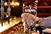  Guinness Gravity 20oz. Embossed Beer Glasses Pair 14K Gold Harp Logo [2 pack]