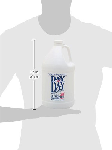 Chris Christensen Day to Day Shampoo