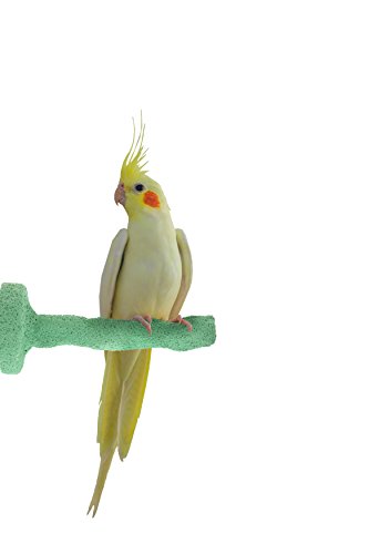 Sweet Feet and Beak Thermal-Lite Natural Patented Perch, Small - Green- Perfect for Keeping your Bird's Feet and Beaks Healthy - Thumbnail 3