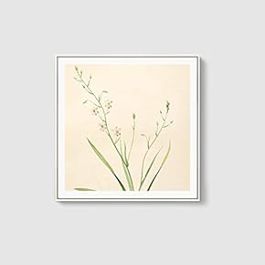 Framed Canvas Home Artwork Decoration Beautiful Flower Canvas Wall Art for Living Room, Bedroom - 16x16 inches