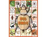 Bug Bingo