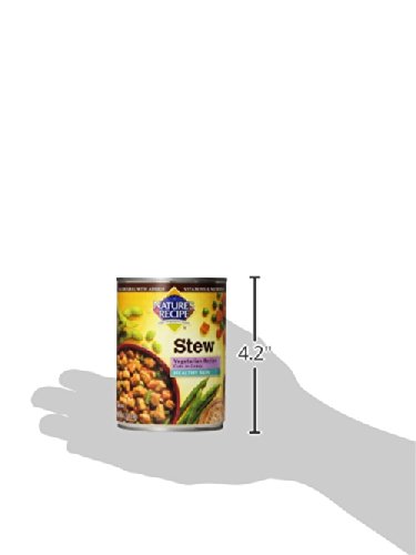 image for Nature's Recipe Healthy Skin Wet Dog Food Cans, Vegetarian Recipe, Cut
