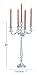 Deco 79 Aluminum Metal Scroll Tall Candelabra, 10
