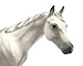 Breyer Classics Grey Selle Francais Horse Toy