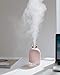WEY&FLY Mini Humidifier with LED Light, Mini Cool Mist Humidifier USB Portable Air Humidifier with Auto Shut-Off, for Bedroom, Baby Room, Home Yoga Office Spa Desktop (Pink)
