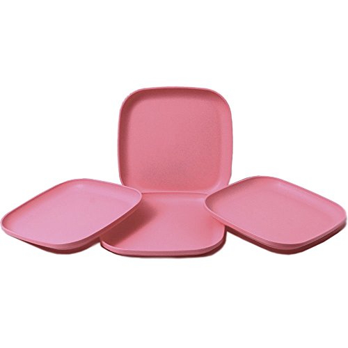 Tupperware Snack Plates. Tupperware Impressions Microwave Lunch Dinner