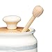 KitchenCraft Class Collection Striped Ceramic Honey Pot with Wooden Dipper, 450 ml (16 fl oz), 8 x 8.5 x 13 cm, Cream