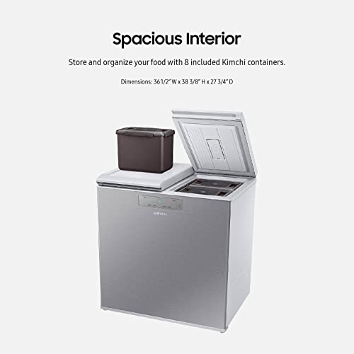 SAMSUNG 7.6 Cu Ft Kimchi & Specialty 2Door Chest Compact Refrigerator