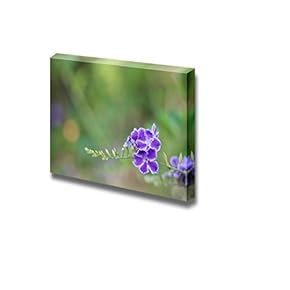 Canvas Prints Wall Art - Purple Flower | Modern Wall Decor/Home Decoration Stretched Gallery Canvas Wrap Giclee Print. Ready to Hang - 12" x 18"