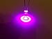 5mm Assorted Clear LED with LOTS of 1/4 W Resistors (6 Colors Assorted, Pack of 60)