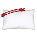 My Perfect Nights Toddler Pillow With Pillowcase 13 x 18 White