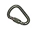 PETZL Attache Lock Carabiner Green M35SLG