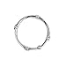 Zenna Home NeverRust Rustproof Aluminum Decorative Shower Rings, Set of 12, Chrome