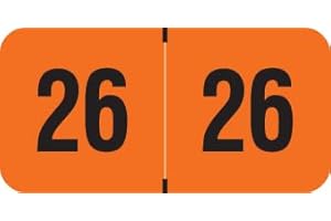 2026 Year Stickers, Compatible with Smead ETYJ, Doctor Stuff 2026 Chart Stickers, Orange Color Coded, USA Made Year Labels for End Tab File Folders, 500 Labels/Roll in Dispenser Box, 3/4" x 1-1/2"