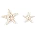 Super Z Outlet Starfish Natural Knobby Mini Beach Sea Stars for Wedding Seashell Crafts (12 Piece)