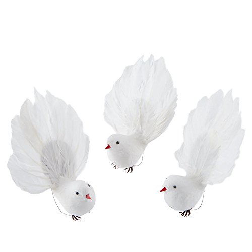 White Mushroom Robin Birds with Fancy Feather Fantail | 12 Birds | for Indoor Decor